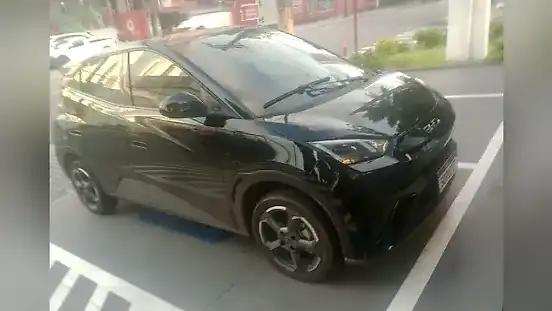 Foto de um byd dolphin mini