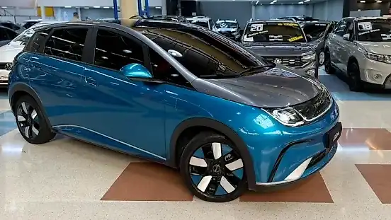 Foto de um byd dolphin
