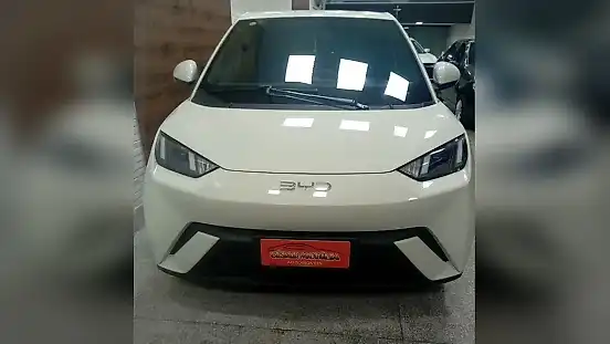 Foto de um byd dolphin mini