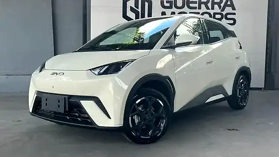 Foto de um byd dolphin mini