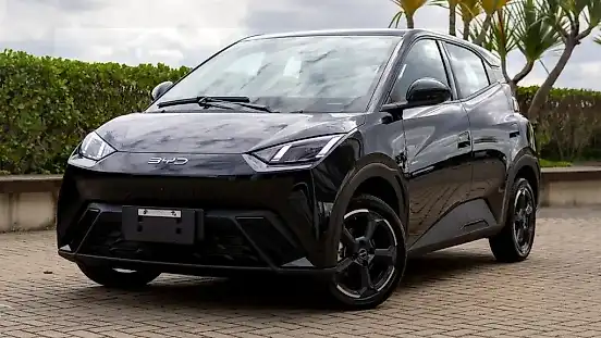 Foto de um byd dolphin mini