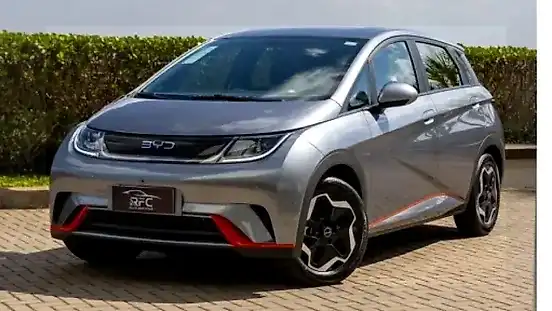 Foto de um byd dolphin