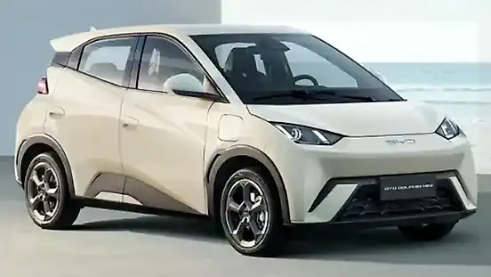Foto de um byd dolphin mini