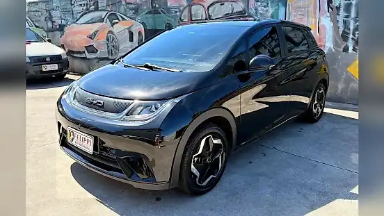 Foto de um byd dolphin