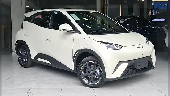 Foto de um byd dolphin mini