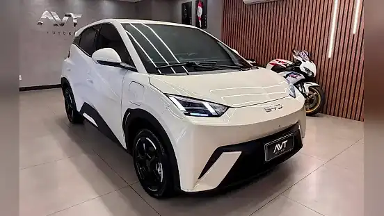Foto de um byd dolphin
