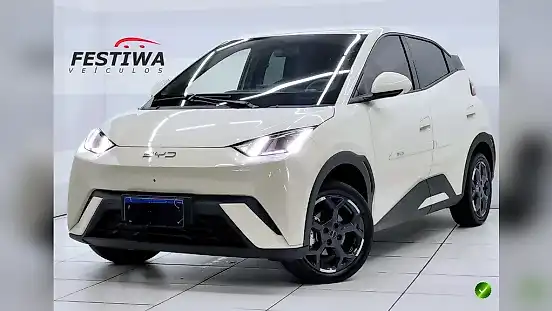 Foto de um byd dolphin mini