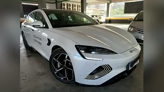 Foto de um byd seal