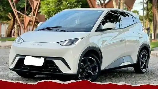 Foto de um byd dolphin mini