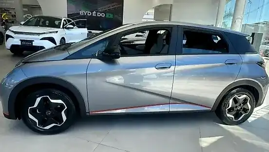 Foto de um byd dolphin