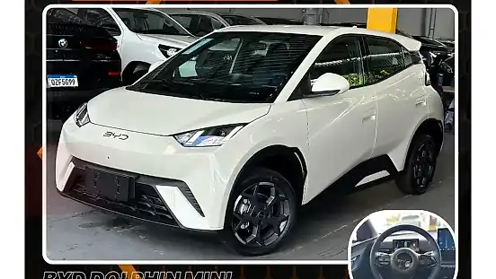 Foto de um byd dolphin mini