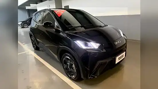 Foto de um byd dolphin mini