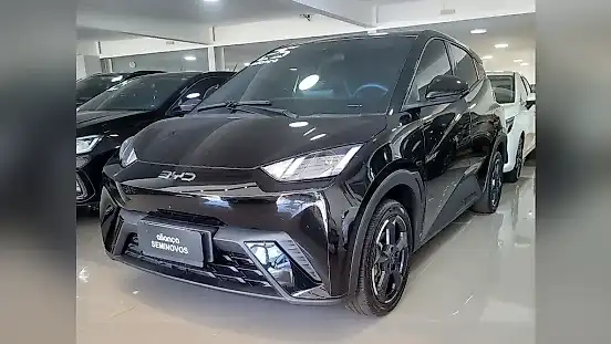 Foto de um byd dolphin mini