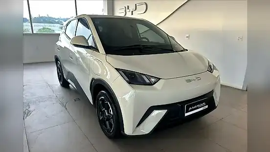 Foto de um byd dolphin mini