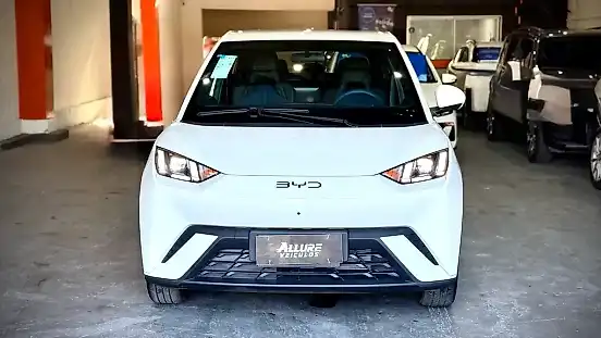 Foto de um byd dolphin mini