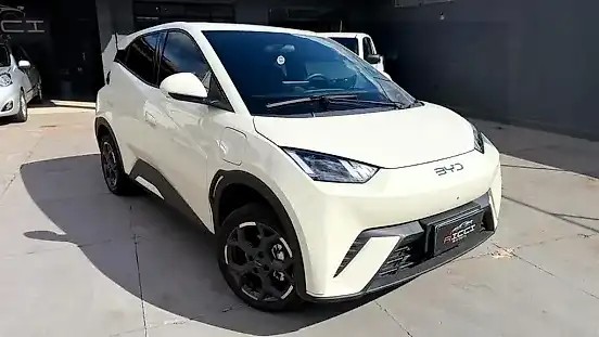 Foto de um byd dolphin mini