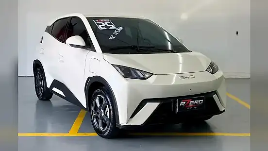 Foto de um byd dolphin