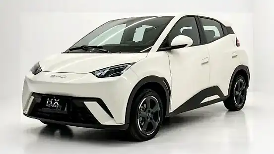 Foto de um byd dolphin mini