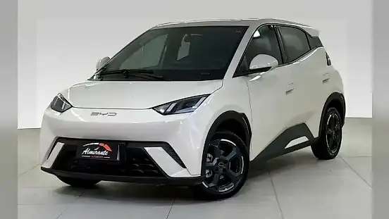 Foto de um byd dolphin
