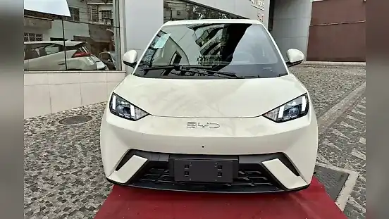 Foto de um byd dolphin mini