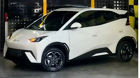 Foto de um byd dolphin mini