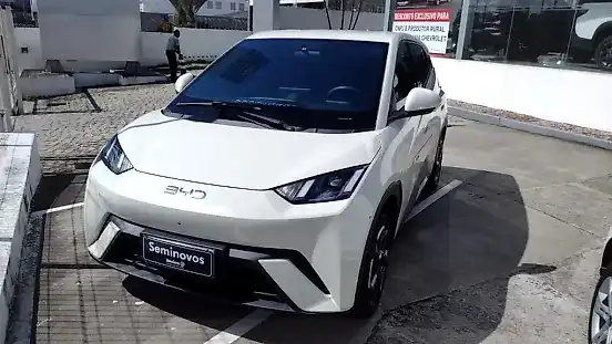 Foto de um byd dolphin mini