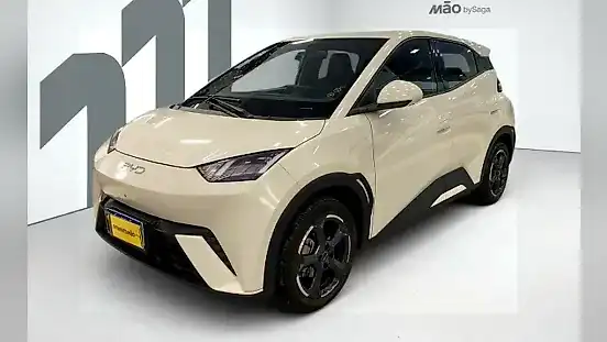 Foto de um byd dolphin mini