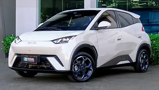 Foto de um byd dolphin mini