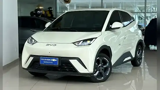 Foto de um byd dolphin mini