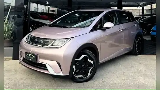 Foto de um byd dolphin