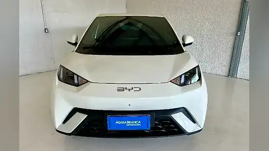 Foto de um byd dolphin mini