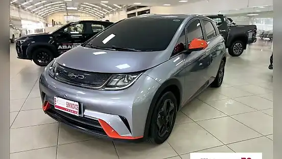 Foto de um byd dolphin