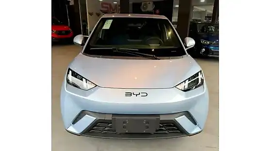 Foto de um byd dolphin