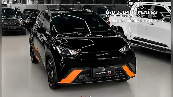 Foto de um byd dolphin mini