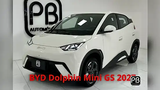 Foto de um byd dolphin mini