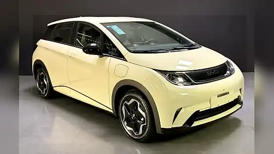 Foto de um byd dolphin