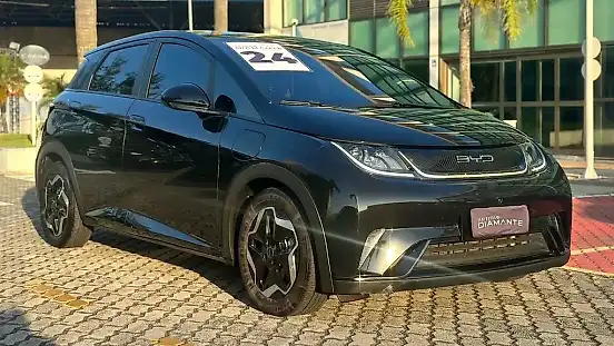Foto de um byd dolphin