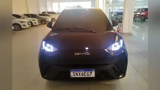 Foto de um byd dolphin mini