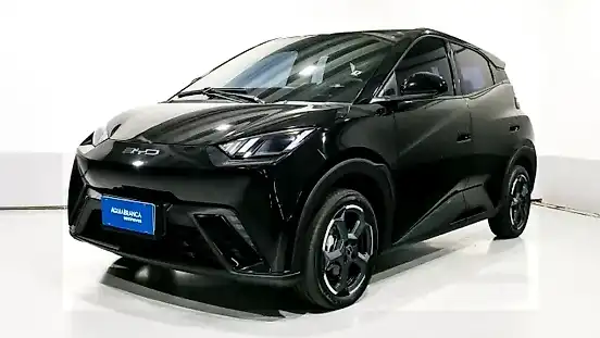Foto de um byd dolphin mini
