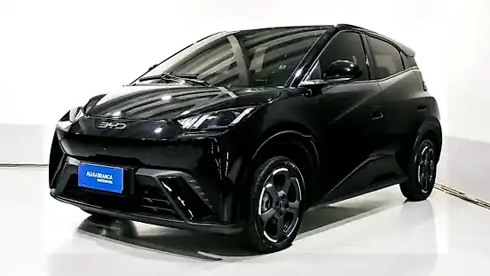 Foto de um byd dolphin mini