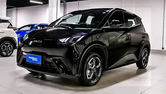 Foto de um byd dolphin mini