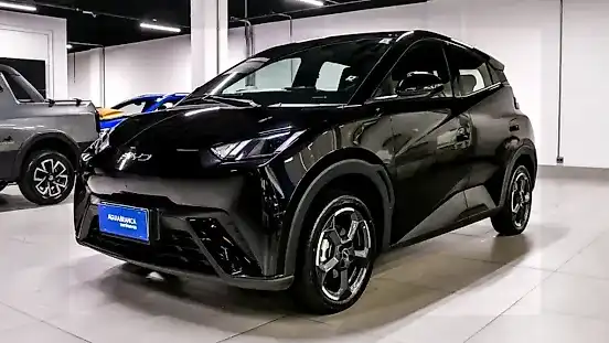 Foto de um byd dolphin mini