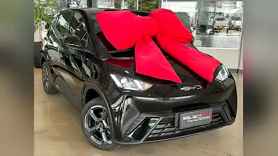 Foto de um byd dolphin mini