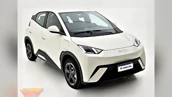 Foto de um byd dolphin mini