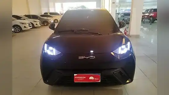 Foto de um byd dolphin mini