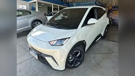 Foto de um byd dolphin mini