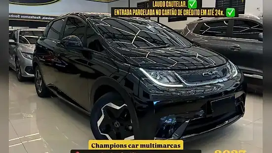 Foto de um byd dolphin