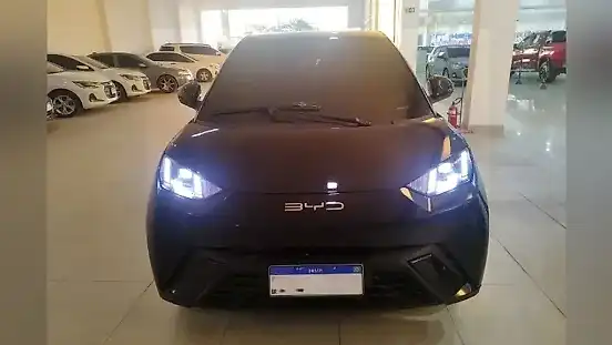Foto de um byd dolphin mini