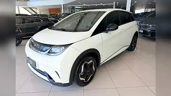 Foto de um byd dolphin