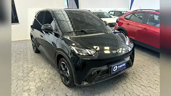 Foto de um byd dolphin mini